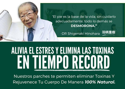 x10 KinkoQuick ™️ Parches Naturales Desintoxicante Para Mejorar Tu Bienestra Y Salud